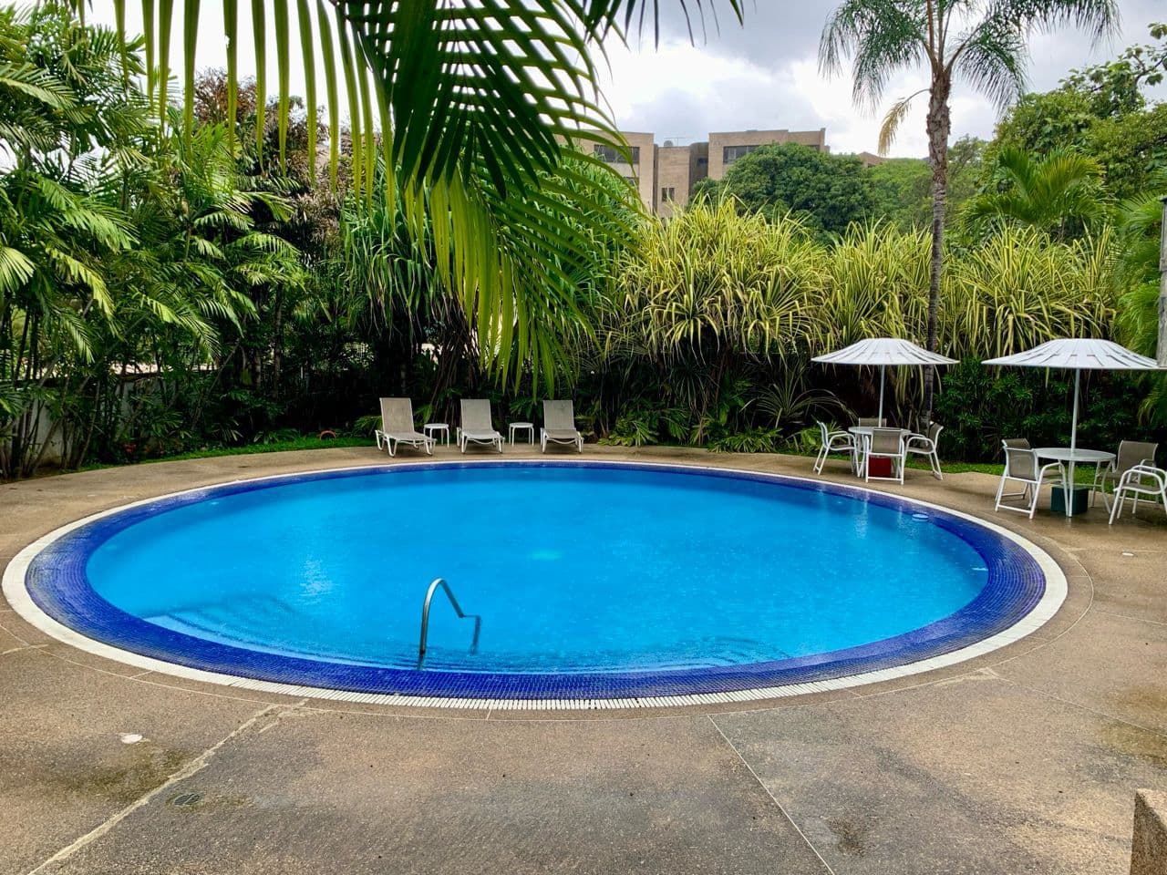 Piscina con tumbonas y sombrillas