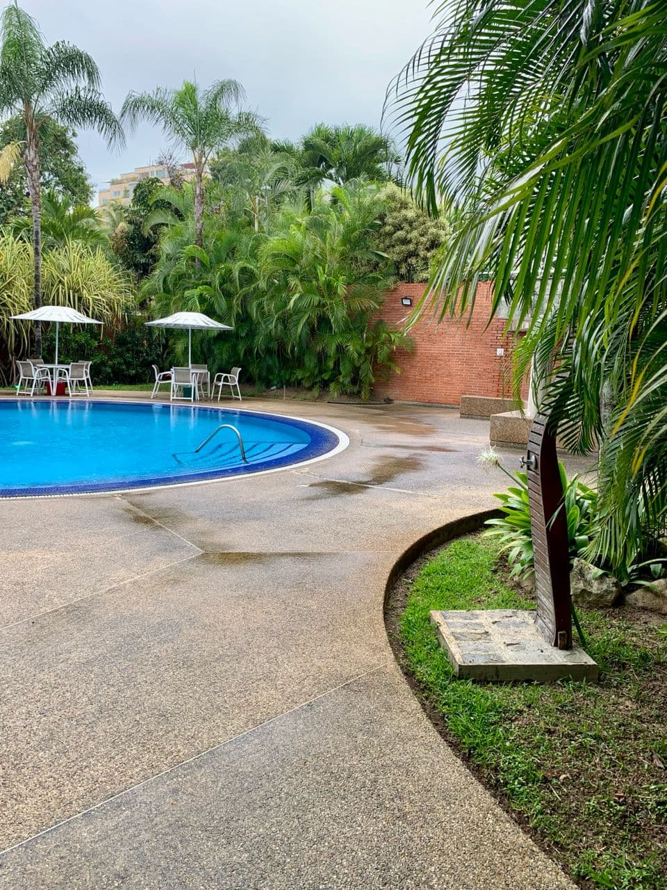 Jardín junto a la piscina
