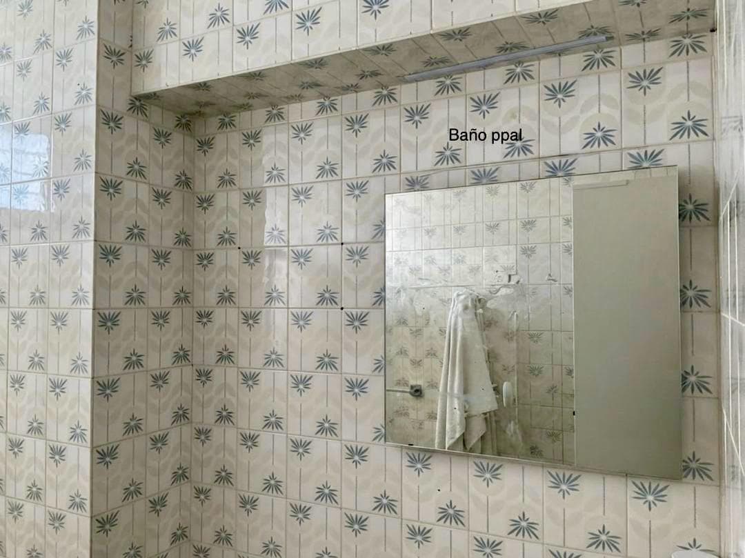 Baño principal, otra vista